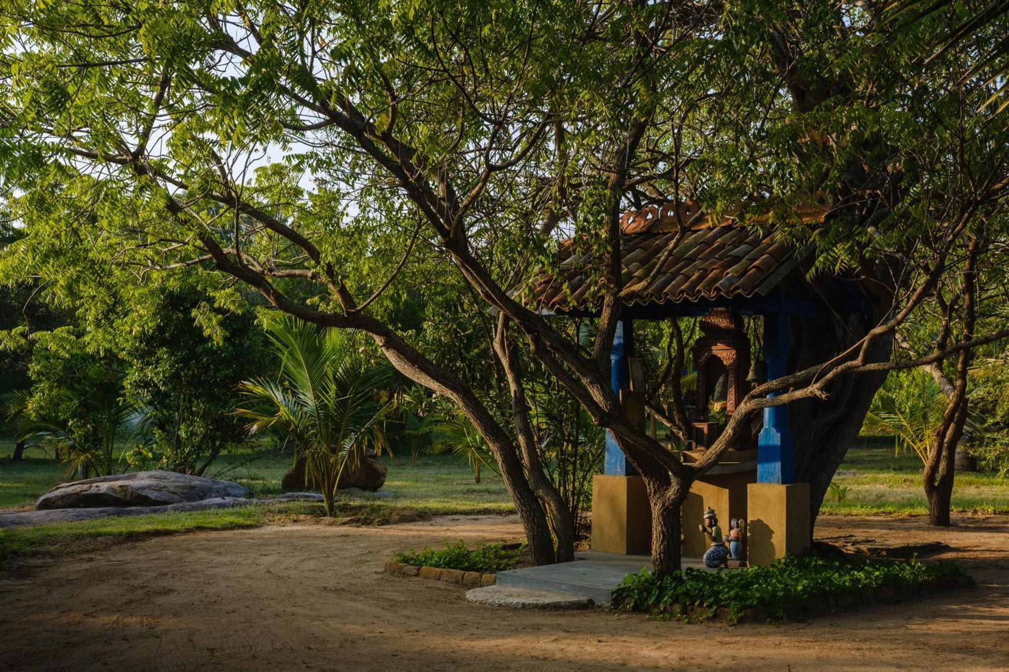 Bed and Breakfast Treasure Rock Kirinda  Exterior foto